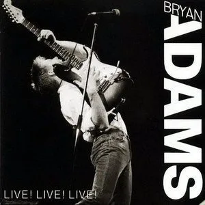 Bryan Adams歌曲:heat of the night歌词