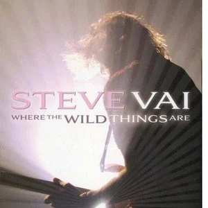 Steve Vai歌曲:Tender Surrender歌词