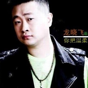 龙晓飞歌曲:小莉歌词