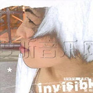 叶树茵歌曲:Invisible歌词