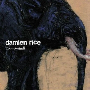 Damien Rice歌曲:Cannonball歌词