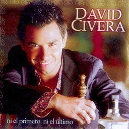 David Civera歌曲:verdadero歌词