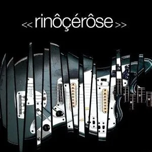 Rinocerose歌曲:metal mental dub歌词
