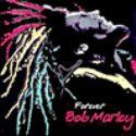 Bob Marley歌曲:my cup歌词