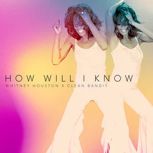 Whitney Houston歌曲:How Will I Know歌词