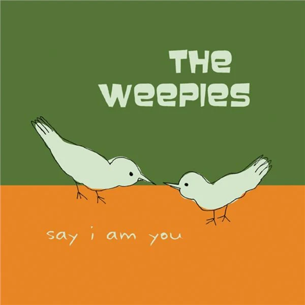 The Weepies歌曲:Not Your Year歌词