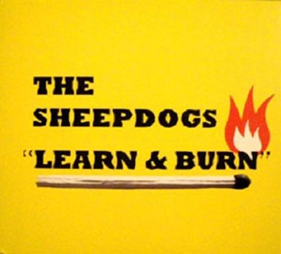 The Sheepdogs歌曲:Learn & Burn歌词