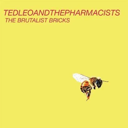 Ted Leo and the Phar歌曲:Where Was My Brain?歌词