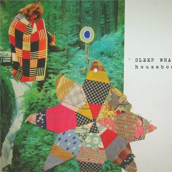 Sleep Whale歌曲:We Were Dripping歌词