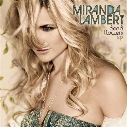 Miranda Lambert歌曲:Take It Out On Me歌词