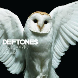 Deftones歌曲:Risk歌词