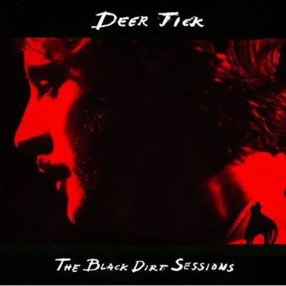 Deer Tick歌曲:When She Comes Home歌词