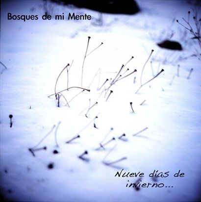 Bosques de mi Mente歌曲:Copos de nieve歌词