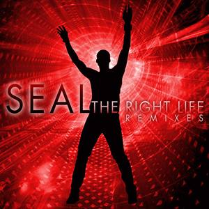 Seal歌曲:The Right Life歌词