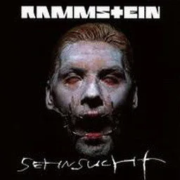 Rammstein歌曲:Bestrafe Mich歌词