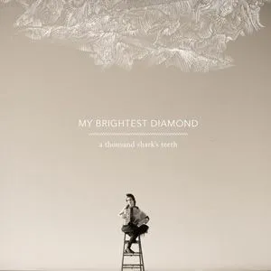 My Brightest Diamond歌曲:The Ice And The Storm歌词