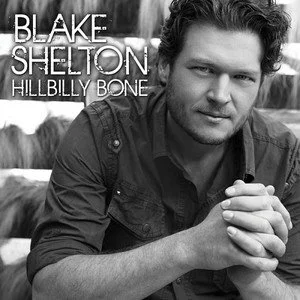 Blake Shelton歌曲:Can t Afford To Love You歌词