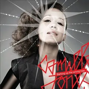 Camille Jones歌曲:I Am (What You Want Me To Be)歌词