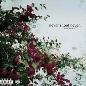 Never Shout Never歌曲:What Is Love?歌词