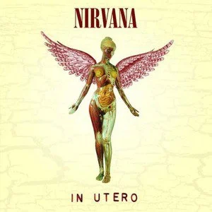 Nirvana歌曲:Pennyroyal Tea歌词