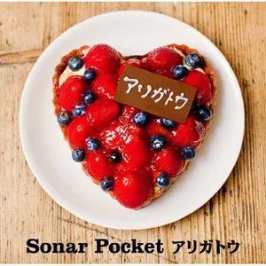 Sonar Pocket歌曲:アリガトウ(instrumental)歌词