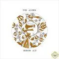The Acorn歌曲:Glory (1st Version)歌词