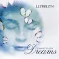 Llewellyn歌曲:Dream (梦幻)歌词