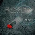 The Pulse歌曲:Cherry Blossom(Instrumental)歌词