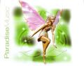 Llewellyn歌曲:The Faerie Queen歌词