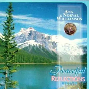 Ana Williamson & Nor歌曲:Winter Journey歌词